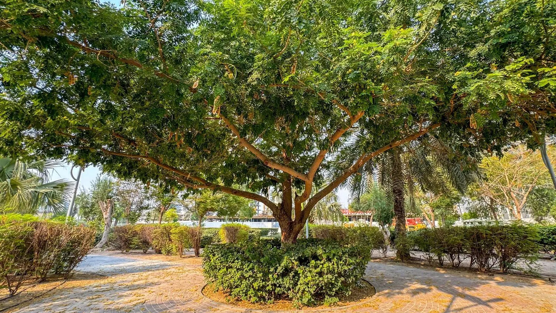 Bnbme - Damac Ghalia Appartement Dubai